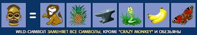 wild символы