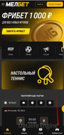 Переход в главный раздел ставок на киберспорт