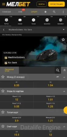 Роспись матча cs:go