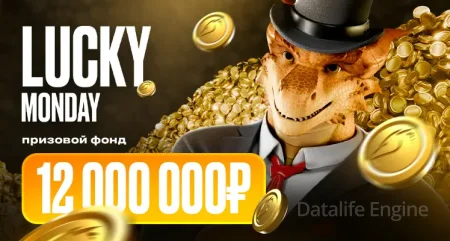 Как играть в краш на Dragon Money: быстрый гайд
